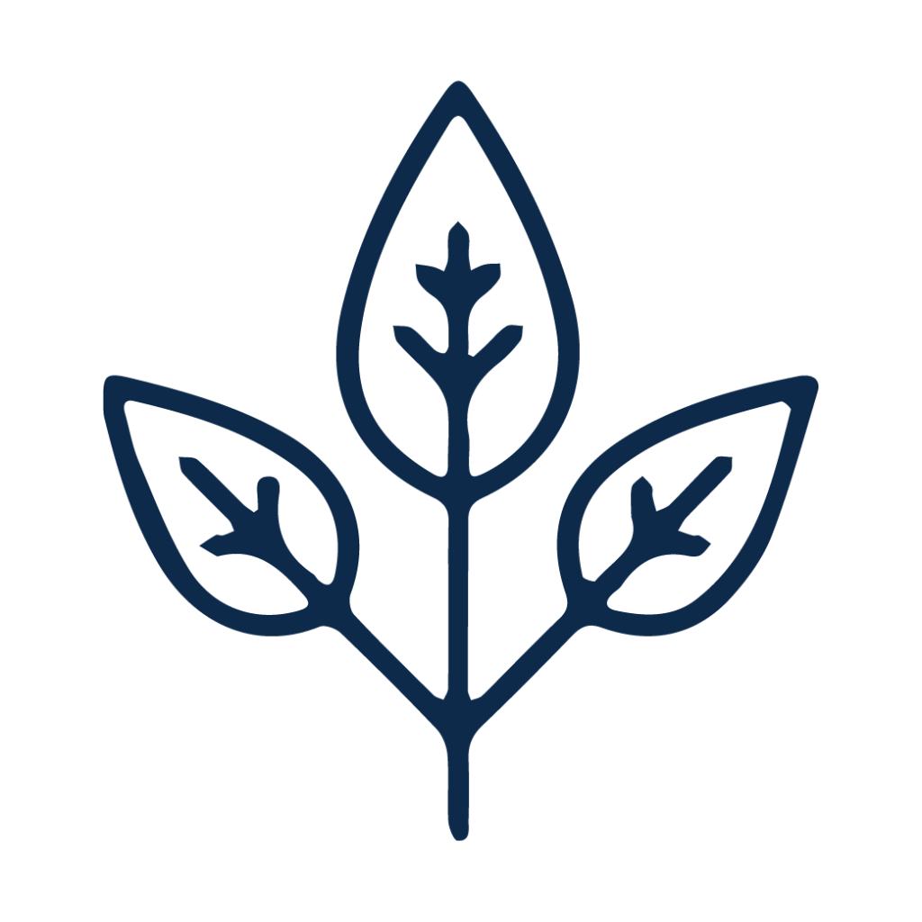 Paraben Free - Facial Fortress