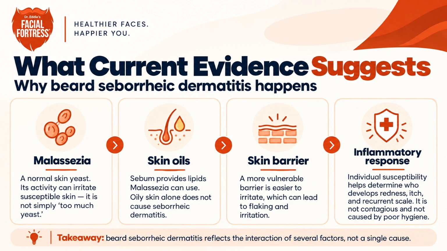 Infographic explaining how Malassezia, skin oils, the skin barrier, and the inflammatory response interact in beard seborrheic dermatitis.